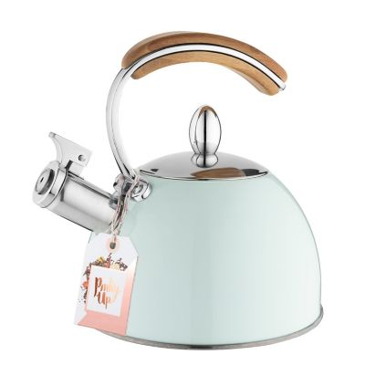 Pinky Up Presley Pistachio Tea Kettle by Pinky Up Image 2