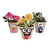 Silly Face Flower Pot Craft Kit - Makes 12 Image 1