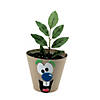 Silly Face Flower Pot Craft Kit - Makes 12 Image 2