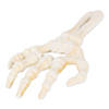Skeleton Hand Cast Iron Bottle Opener Image 1