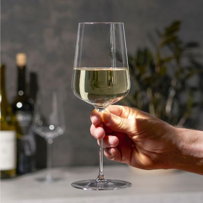 Spiegelau Definition 15.2 oz White Wine Glass - set of 2 Image 1