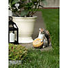 Squirrel And Acorn Bird Feeder 9X4.5X8" Image 3