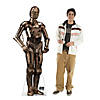 Star Wars&#8482; The Mandalorian&#8482; Season 3 Nevarro Copper Droid Life-Size Cardboard Cutout Stand-Up Image 1