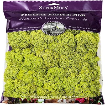 Super Moss 21669 Reindeer Moss Preserved, Chartreuse, 8oz (200 cubic inch) Image 1