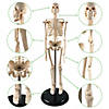 Supertek Human Skeleton Model with Key, 17" Image 3