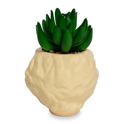 The Golden Girls Rose 3-Inch Ceramic Mini Planter With Artificial Succulent Image 2
