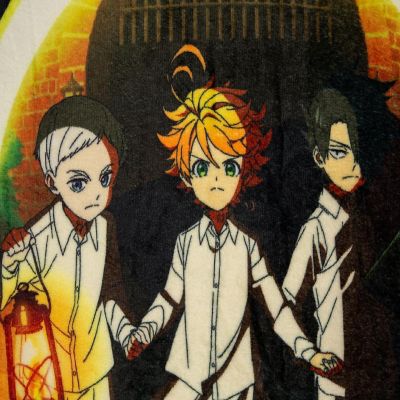 The Promised Neverland Fleece Throw Blanket  45 x 60 Inches Image 2