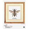Thea Gouverneur Cross Stitch Kit 16ct Honey Bee Image 1