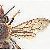 Thea Gouverneur Cross Stitch Kit 16ct Honey Bee Image 3