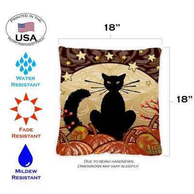 Toland Home Garden 18" x 18" Moonlight Cat 18 x 18 Inch Indoor/Outdoor Pillow Case Image 1