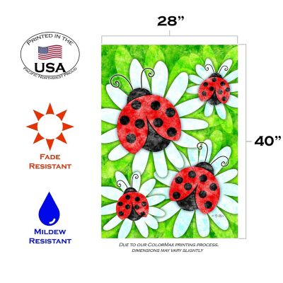 Toland Home Garden 28" x 40" Ladybugs and Daisies House Flag Image 1