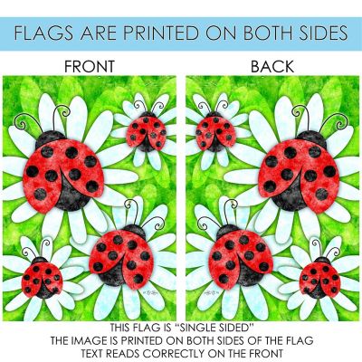 Toland Home Garden 28" x 40" Ladybugs and Daisies House Flag Image 3