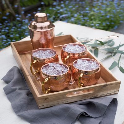 Twine Hammered Copper Bar Set by Twine Image 1