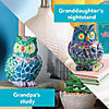 Two Creative Friendship Owls Stone D&#233;cor Painting Craft Kit for Two Image 3
