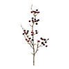 Variegated Red Berry Pod Spray (Set of 12) Image 1