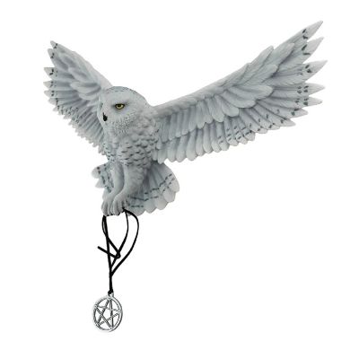 Veronese Design Anne Stokes Awaken Your Magic Snowy Owl with Pentagram Pendant Wall Sculpture Image 1