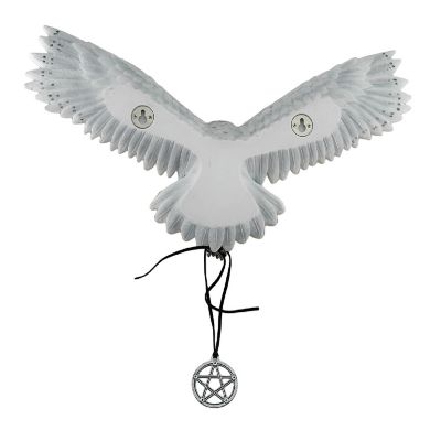 Veronese Design Anne Stokes Awaken Your Magic Snowy Owl with Pentagram Pendant Wall Sculpture Image 2