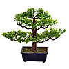 Vickerman 10" Artificial Potted Murraya Bonsai Tree Image 1