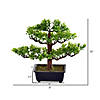 Vickerman 10" Artificial Potted Murraya Bonsai Tree Image 2