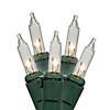 Vickerman 100 Lights Clear DuraLit with Green Wire - 5.5" Spacing, 46' Long Christmas Light Set Image 1