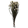 Vickerman 16" Pink Rice Flower.  Comes in an 8 oz Bundle. Preserved Image 1