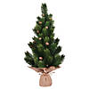 Vickerman 19" Spruce Sapling Artificial Christmas Tree, Unlit Image 1