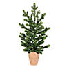 Vickerman 2' Bryson Spruce Artificial Christmas Tree, Unlit Image 1
