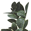 Vickerman 20" Artificial Green/White Aglaia Spray - 6/pk Image 2