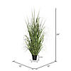 Vickerman 24" Artificial Green Potted Ryegrass Image 1