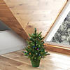 Vickerman 24" Cashmere Pine Artificial Christmas Tree, Multi-Colored Dura-Lit&#174; LED Lights Image 1