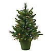 Vickerman 24" Cashmere Pine Artificial Christmas Tree, Multi-Colored Dura-Lit&#174; LED Lights Image 1