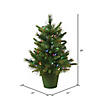 Vickerman 24" Cashmere Pine Artificial Christmas Tree, Multi-Colored Dura-Lit&#174; LED Lights Image 2