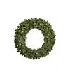 Vickerman 24" Grand Teton Artificial Christmas Wreath, Warm White Single Mold Wide Angle LED Lights Image 1