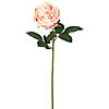 Vickerman 25" Artificial Light Pink Open Rose Stem, 6 per Bag Image 1