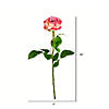 Vickerman 26" Artificial Light Pink Rose Stem, 6 per Bag Image 1