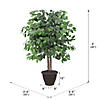 Vickerman 4' Artificial Ficus Bush, Brown Plastic Container Image 2