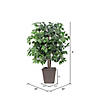 Vickerman 4' Artificial Ficus Bush, Square Brown Plastic Container Image 1