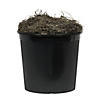Vickerman 4' Artificial Variegated Ficus Bush, Black Plastic Pot. Image 3