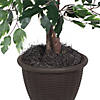 Vickerman 4' Artificial Variegated Ficus Bush, Rattan Basket Image 3