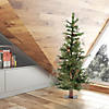 Vickerman 4' Ashland Christmas Tree with Clear Lights Image 3