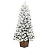 Vickerman 4' Flocked Gifford Slim Potted Pine Artificial Christmas Tree, Warm White Dura-lit LED Lights Image 1