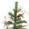 Vickerman 5' Ashland Christmas Tree - Unlit Image 1