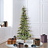 Vickerman 5' Ashland Christmas Tree - Unlit Image 3
