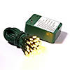Vickerman 50 Warm White Wide Angle LED Light on Green Wire, 15' Battery Opeated Christmas Light Strand Image 1