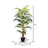 Vickerman 59" Artificial Potted Fern Palm Real Touch Leaves Image 2