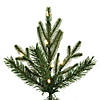 Vickerman 7.5' Kingston Fraser Fir Artificial Christmas Tree, Dura-Lit&#174; LED Warm White Mini Lights Image 2