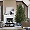 Vickerman 7.5' x 55" Eagle Fraser Full Artificial Christmas Tree, Warm White Dura-lit LED Lights Image 1