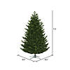 Vickerman 7.5' x 55" Eagle Fraser Full Artificial Christmas Tree, Warm White Dura-lit LED Lights Image 3