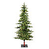 Vickerman 8' Shawnee Fir Artificial Christmas Tree, Warm White LED Dura-lit Lights Image 1