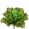 Vickerman 9" Artificial Green and Brown Big Romaine Stem, Set of 3 Image 1